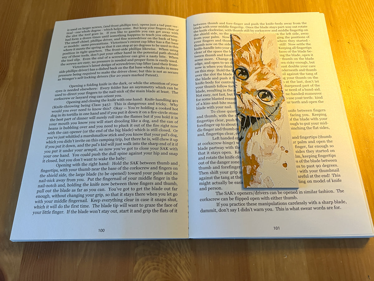Orange Cat Bookmark