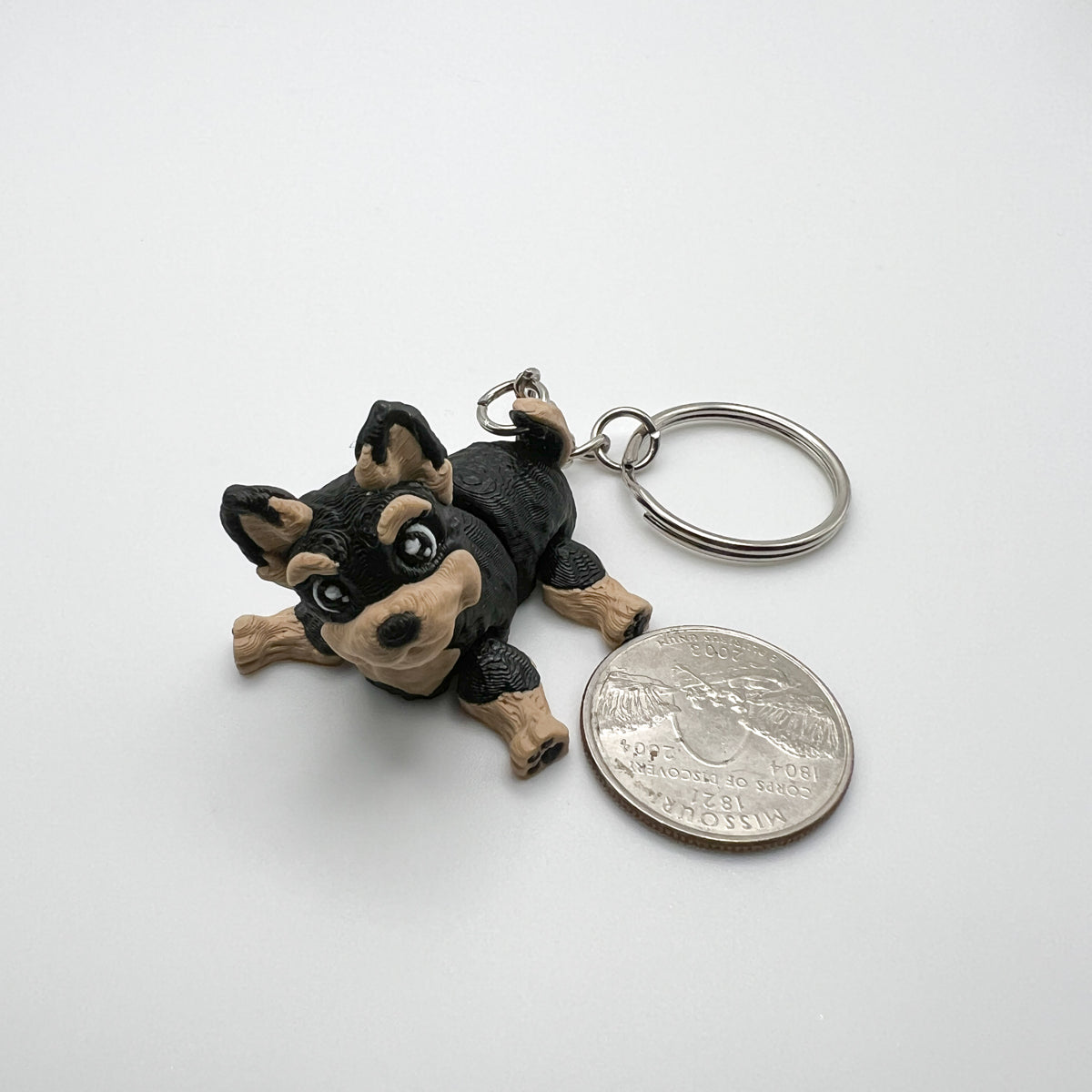 Yorkshire Terrier Puppy