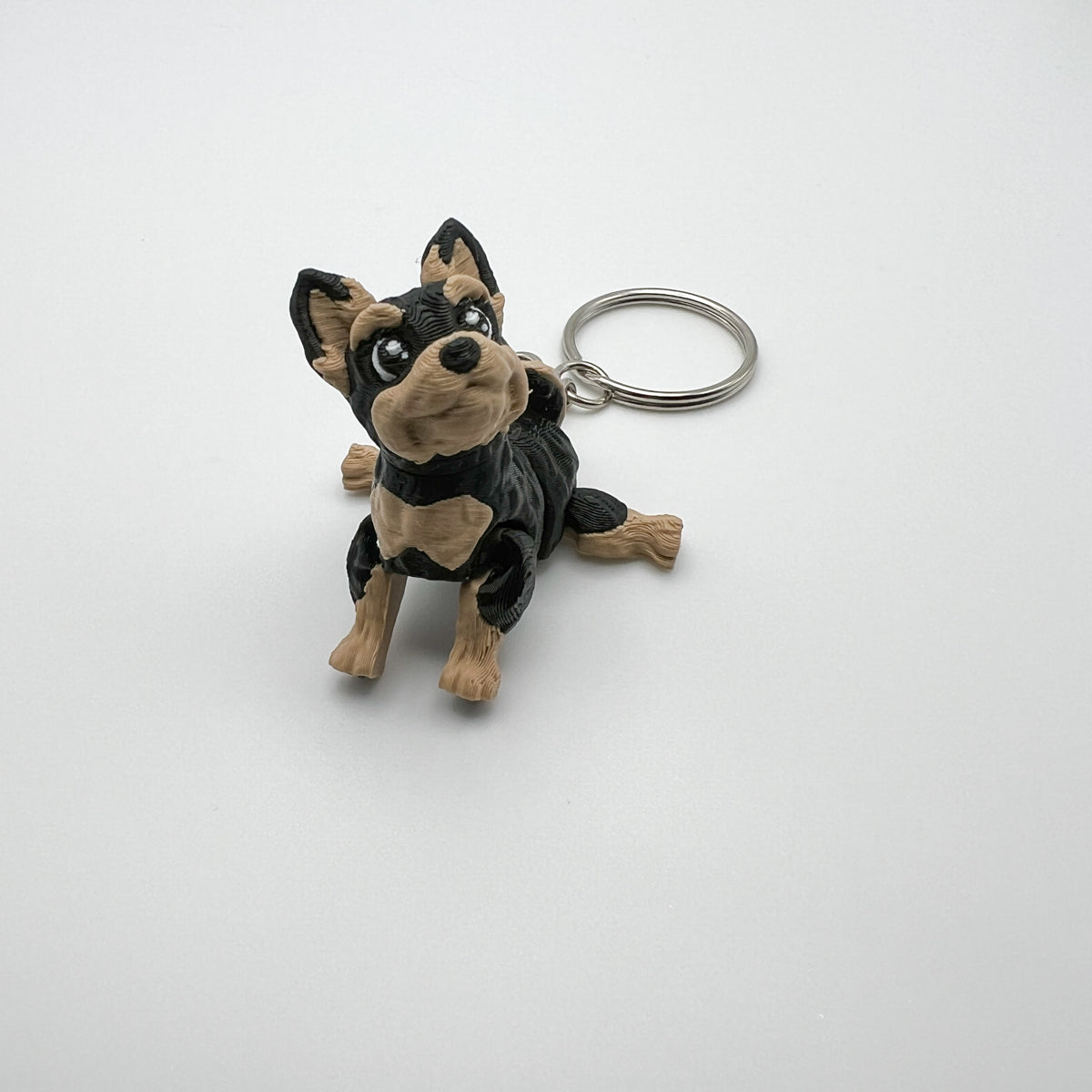 Yorkshire Terrier Puppy