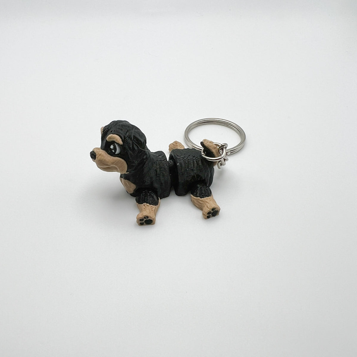 Yorkshire Terrier Puppy